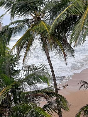 Puerto Viejo de Talamanca